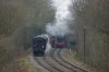 DSC07637.jpg