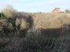 DSCF1730.JPG