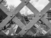 DSC_6130 45231 Oakengates bw 040220.jpg