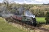 DSC_18621.jpg