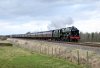 _DSC1053-Edit.jpg