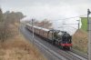 46115-01c.jpg