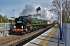 2020-02-08 Clan Line Wandsworth Town.jpg