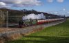 DSC_6160 46100  Millmeece  120220.jpg