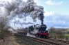 DSC_18704.jpg