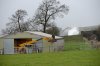 DSC_10007.jpg