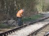 DSCF1747.JPG