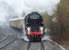 400129sm.jpg