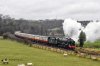 DSC_18719.jpg
