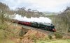 _DSC1196-Edit.jpg