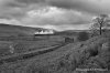 _DSC8492 editbnw.jpg