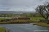 _DSC8500.jpg