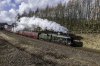 Steam Special 46115 1b.jpg