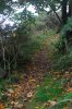 2020-03-01_06-57-21.jpg