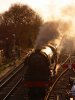Scotsman sunset 1Medstead golden.JPG