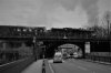 DSC_0353 (2).JPG