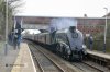 DSC_18964.jpg