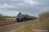 _DSC8651 edit.JPG