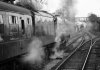 Scotsman std 4 bw.JPG
