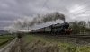 CCE-WCME 45562 1b.jpg