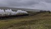 CCE-WCME 45562 3b.jpg