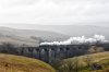 DSC_19072.jpg