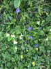 D3B3DC78-E973-4708-BC0C-26AD0D3801FD.jpeg