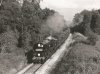 35028 Buckhorn Weston small.jpg