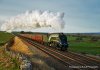 DSC_8286 3.jpg