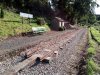 IMG_20190914_163036.jpg