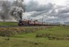 DSC_0821eg.jpg