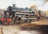 73096_MHR2_300993.jpg