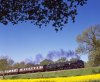 2020-04-30-0005_DxO-Edit.jpg