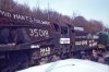 2020-05-05-0005_DxO-Edit.jpg