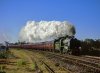 828 Romsey 5-6-94.jpg