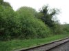 DSCF4539.JPG
