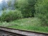 DSCF4541.JPG