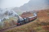 DSC_3768.jpg