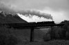 _IGP0136 b&w .jpg