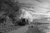 _IMG1851 b&w.jpg