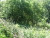 DSCF4548.JPG