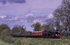 2020-05-20-0004_DxO-Edit.jpg