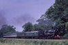 2020-05-20-0005_DxO-Edit.jpg