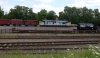 DSC00055s.jpg
