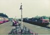 WSR1a.jpg