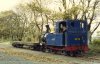 17 No 12 and runner Castletown fall 1986 a.jpg