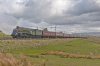 DSC_8231.jpg