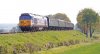 50027 Lion MHR_edited-1.jpg