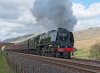 DSC_8288.jpg