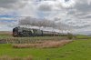 DSC_8256.jpg